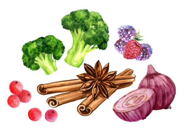 Additional Synergistic Herbs and Nutrients